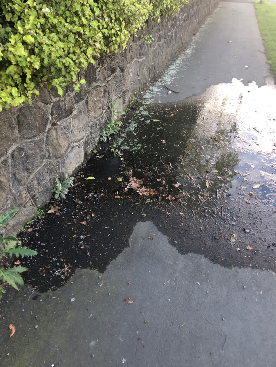 The photograph attached to this water supply report