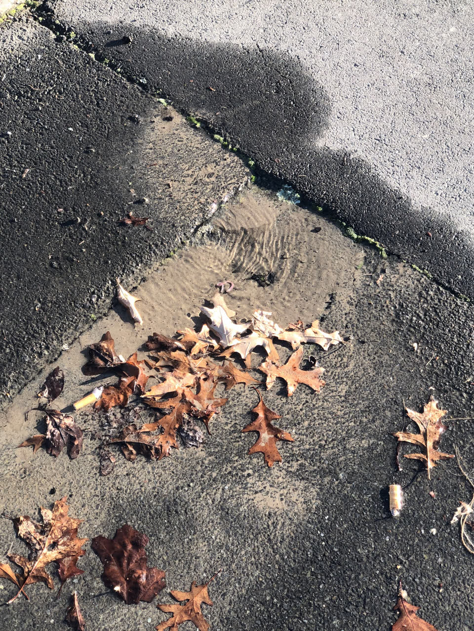 The photograph attached to this water supply report