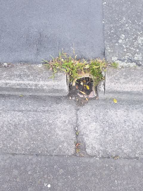 Roading/Streets, a report photo