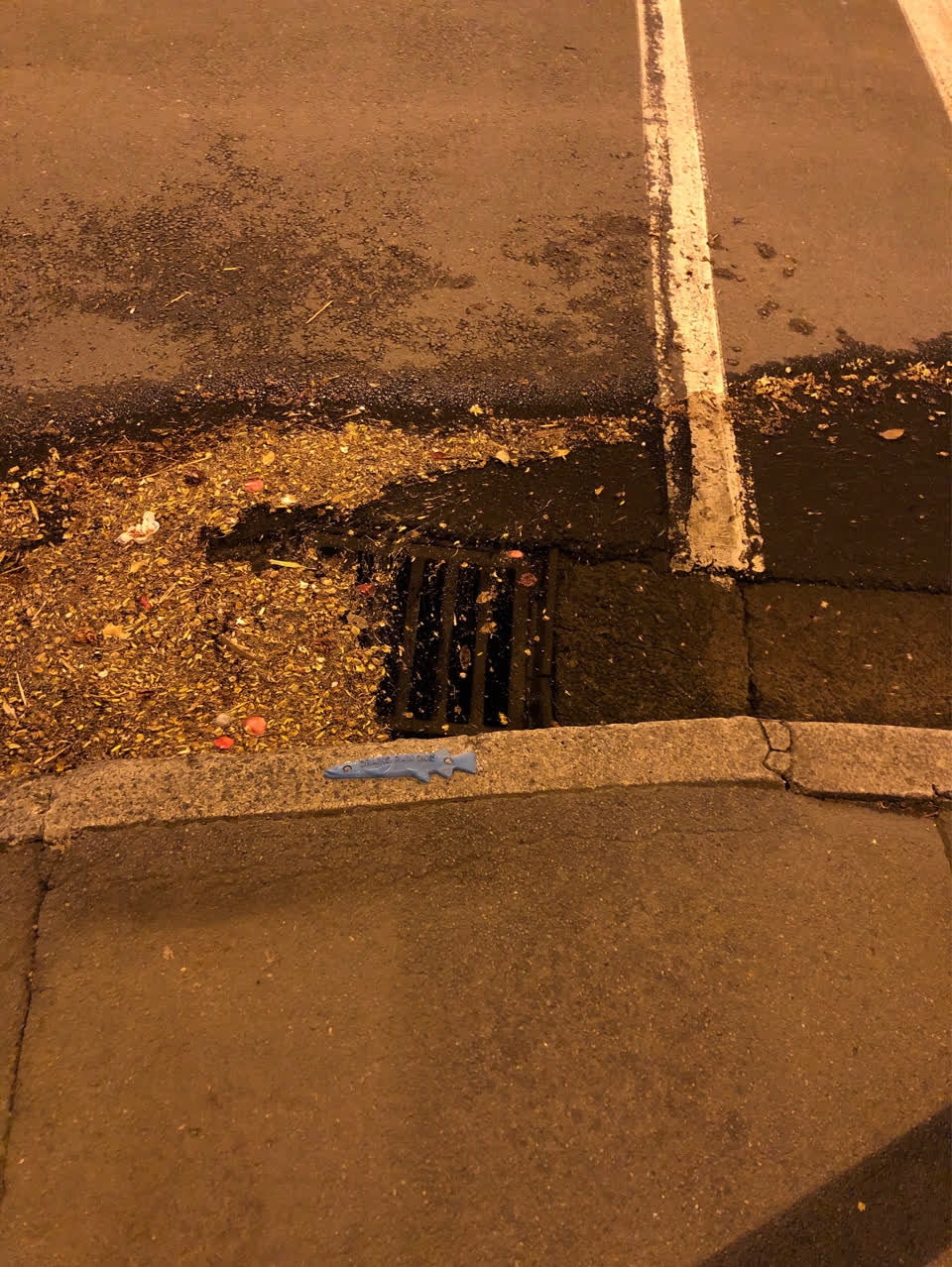 The photograph attached to this flooding report