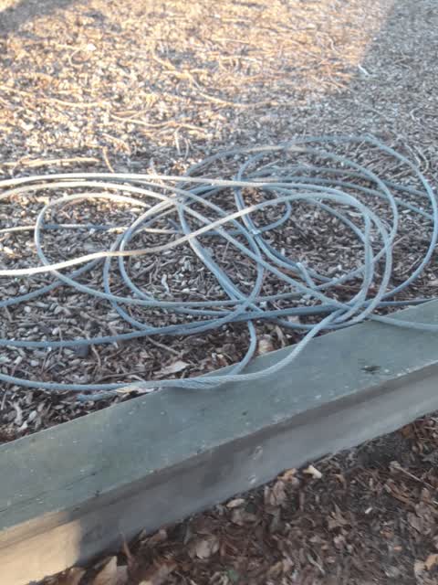 Parks — a report photo