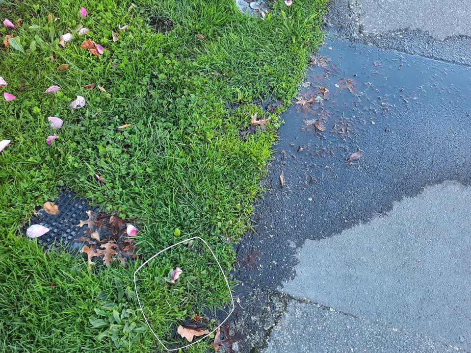 The photograph attached to this water supply report