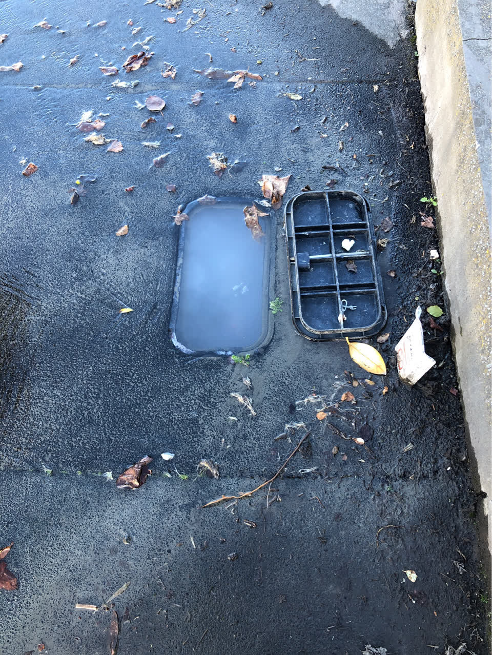 The photograph attached to this flooding report