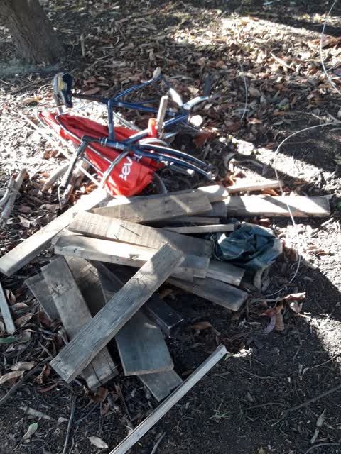 Rubbish/Recycling, a report photo