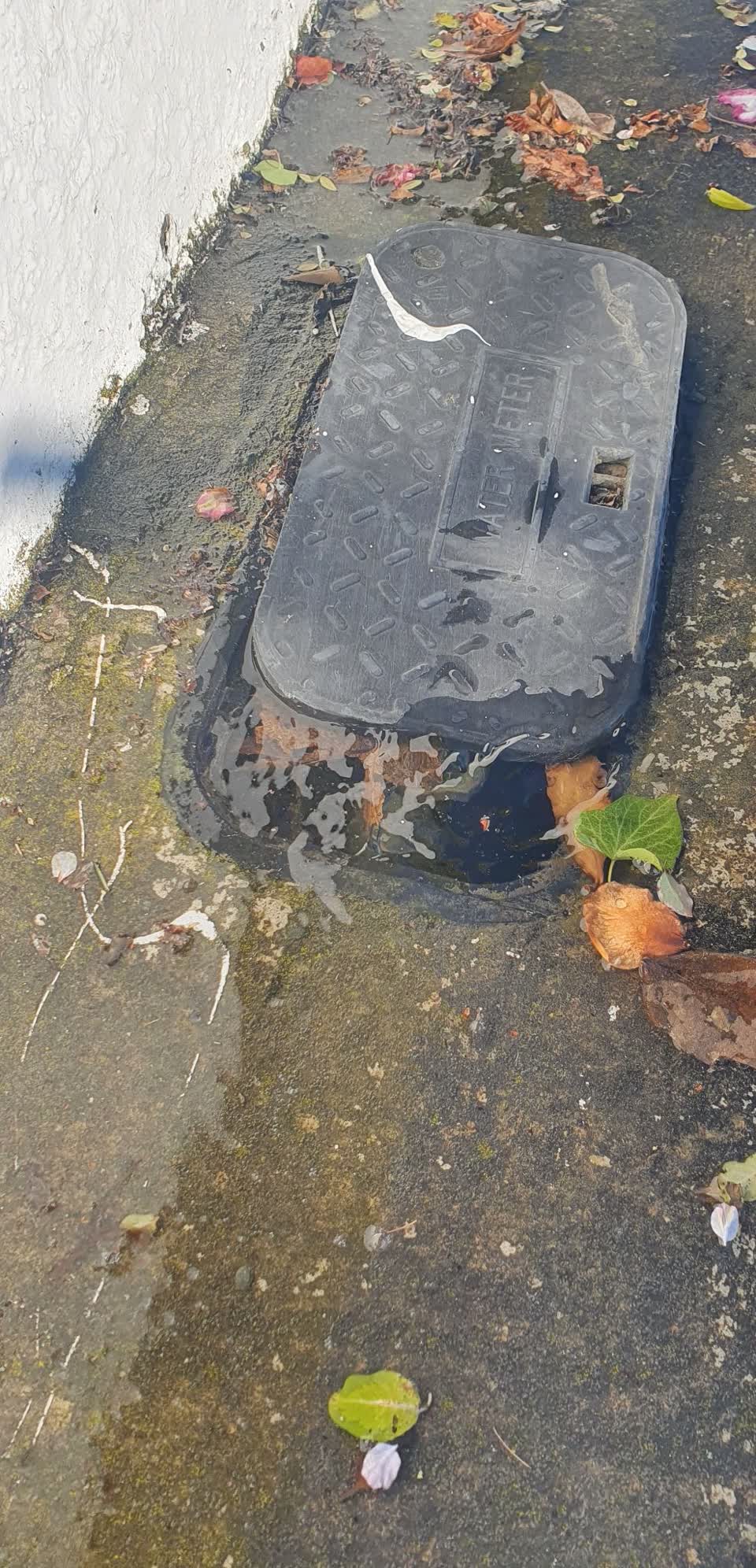 The photograph attached to this water supply report