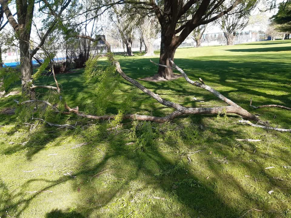 The photograph attached to this parks report