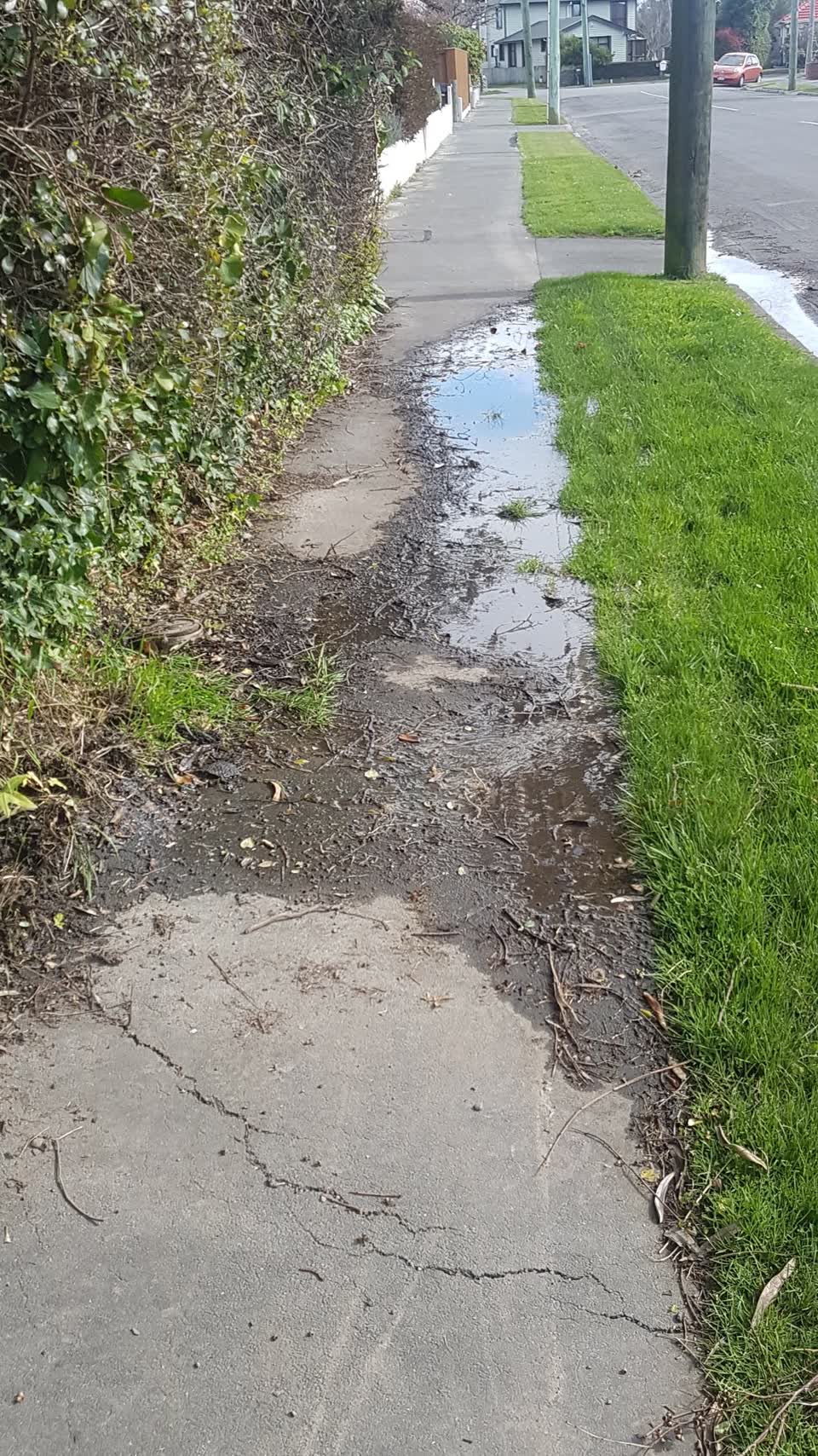 The photograph attached to this water supply report