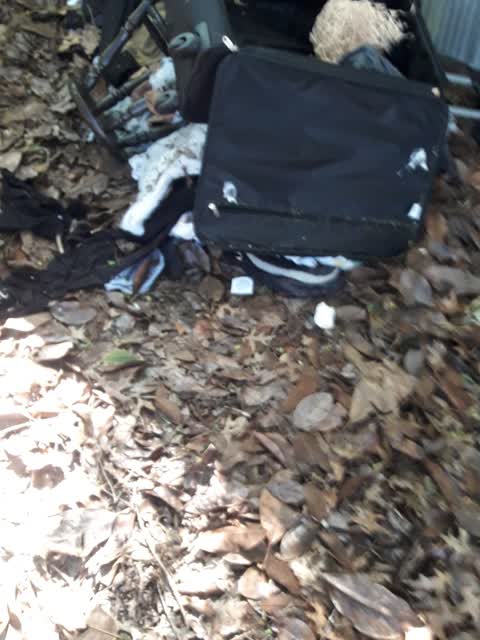 Parks, a report photo