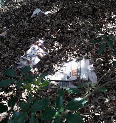 Parks, a report photo