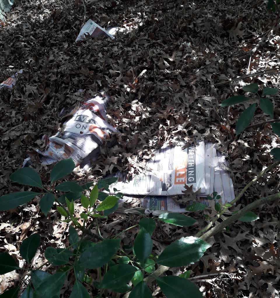 The photograph attached to this parks report
