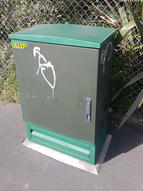 Graffiti, a report photo