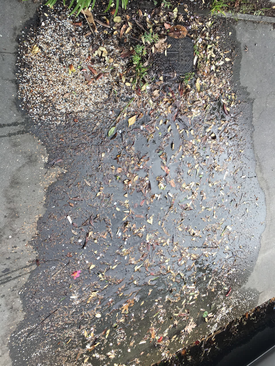 The photograph attached to this water supply report