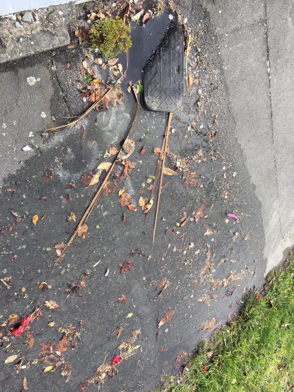The photograph attached to this water supply report