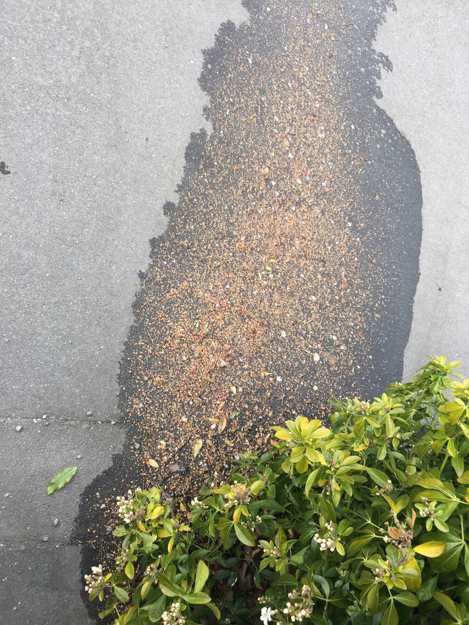 The photograph attached to this water supply report