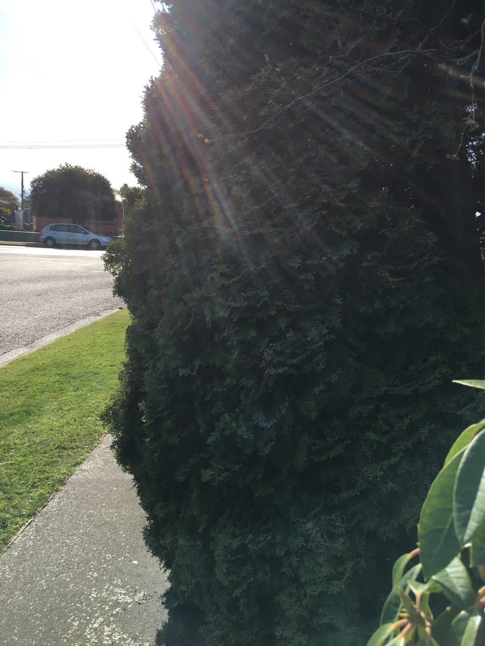 The photograph attached to this parks report