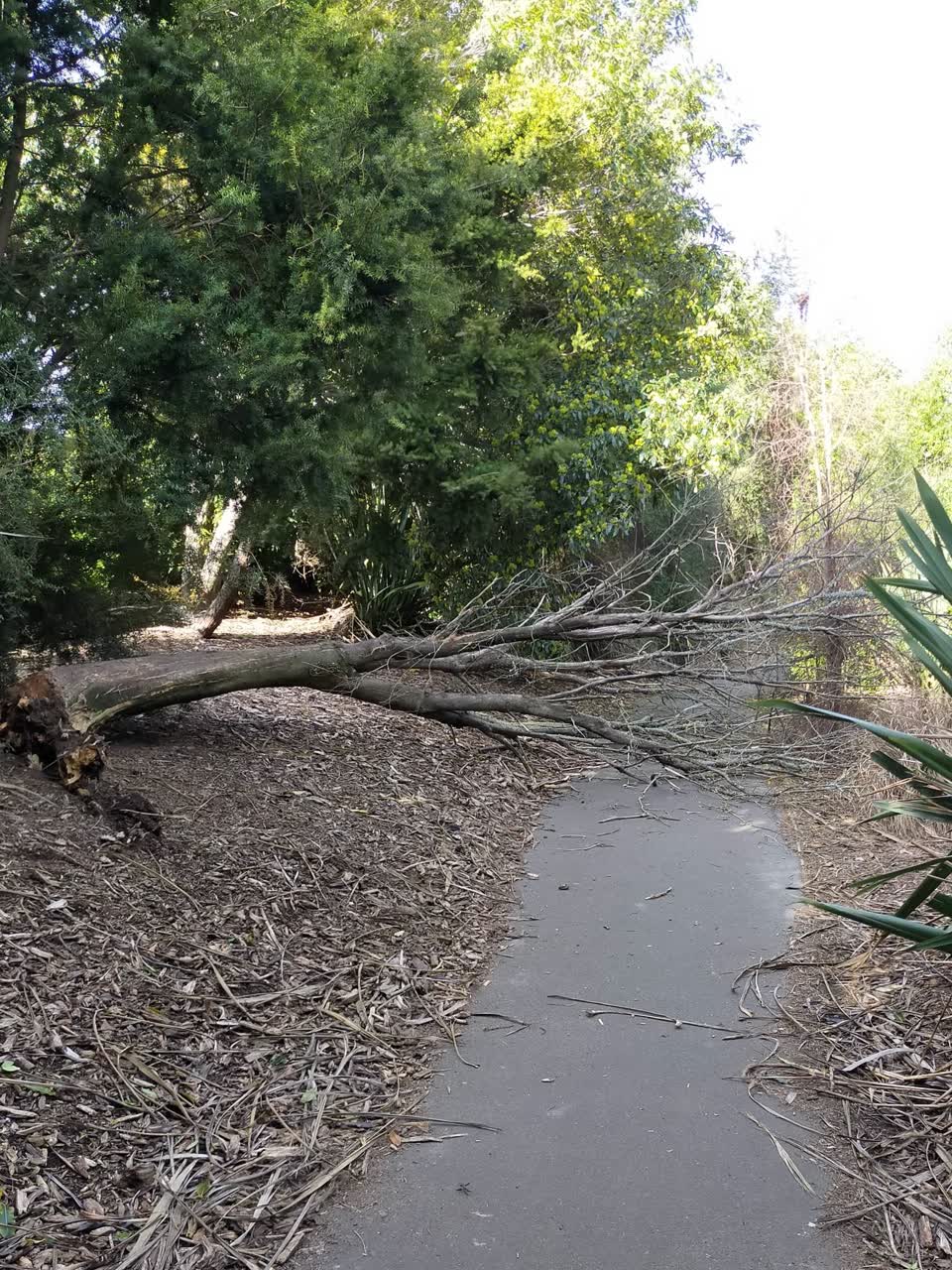 The photograph attached to this parks report