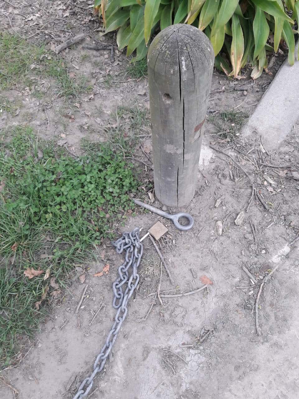 The photograph attached to this parks report