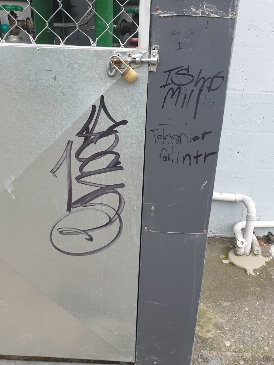 The photograph attached to this graffiti report