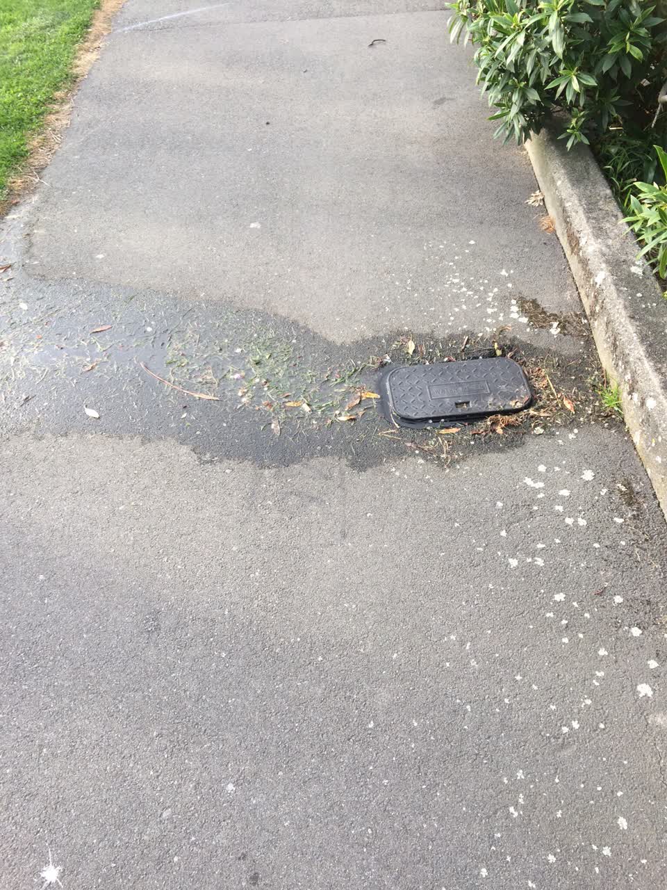 The photograph attached to this water supply report
