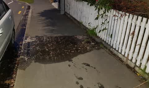 Water Supply, a report photo