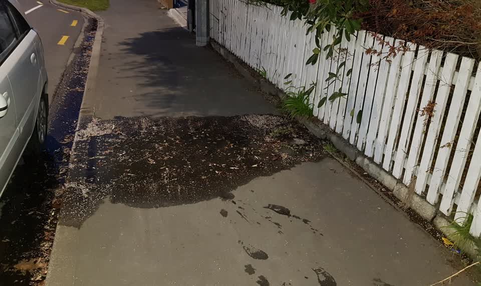 The photograph attached to this water supply report