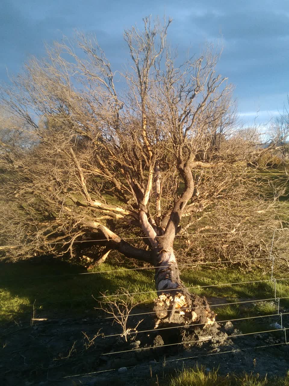 The photograph attached to this parks report