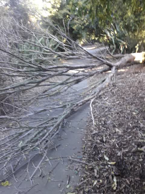 Parks, a report photo