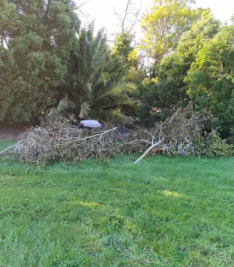 Rubbish/Recycling, a report photo