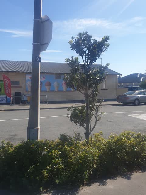 Roading/Streets, a report photo