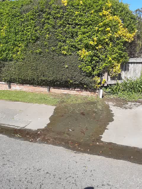 Water Supply, a report photo