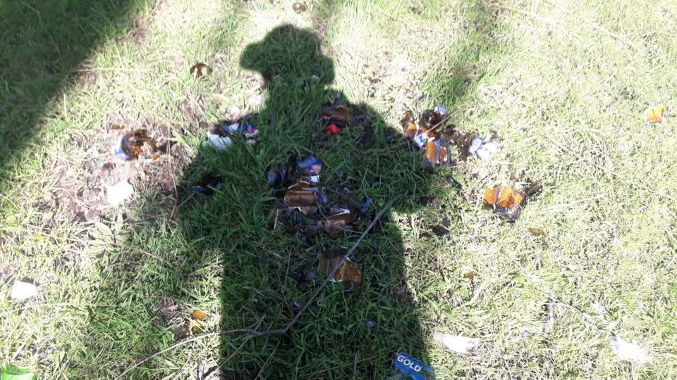 The photograph attached to this parks report