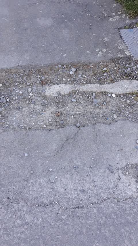Pavement - Damaged, a report photo