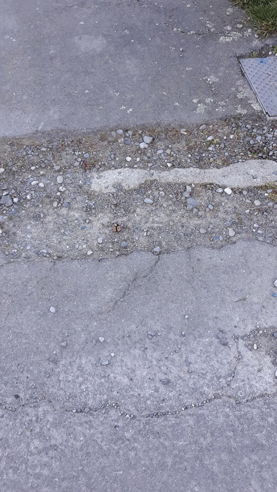The photograph attached to this pavement - damaged report