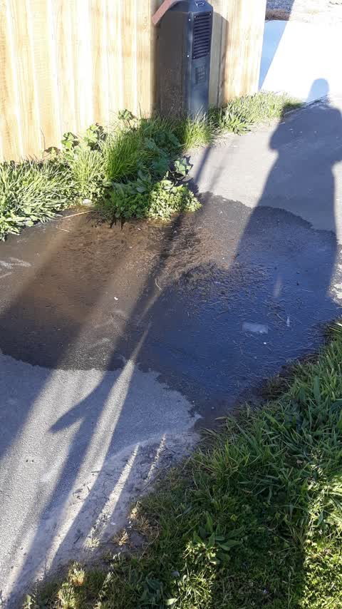 Water Leak, a report photo