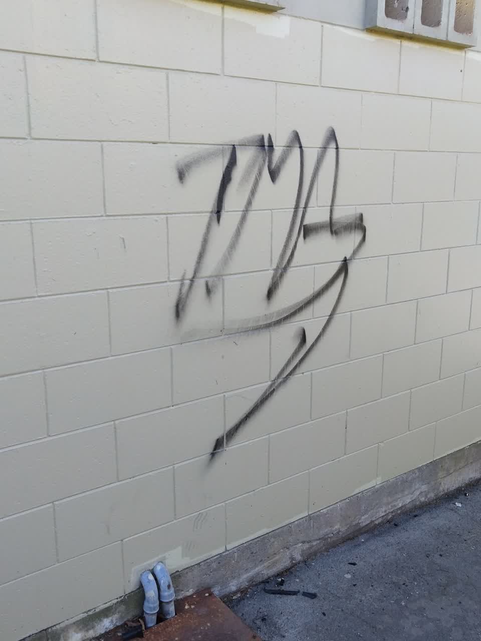 The photograph attached to this graffiti report