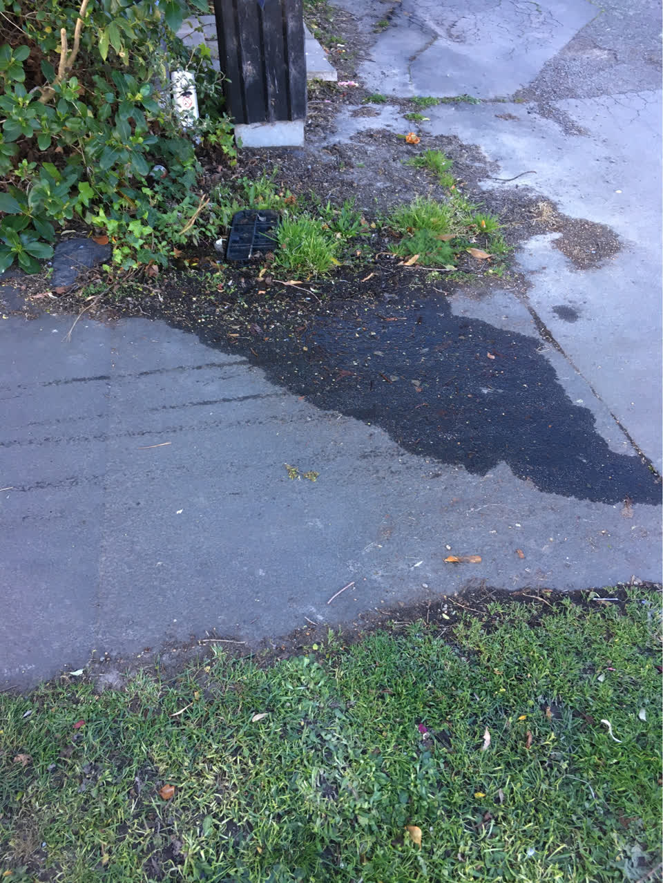 The photograph attached to this water leak report