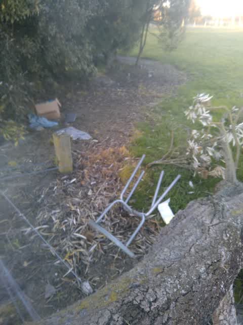 Dumped Rubbish, a report photo