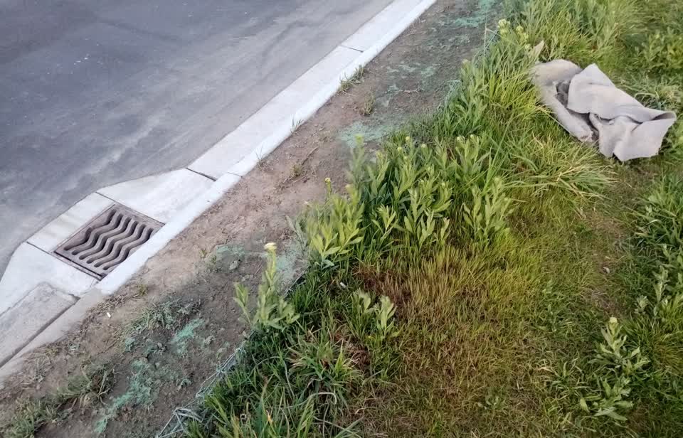 The photograph attached to this pavement - general report