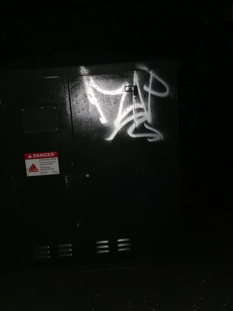 The photograph attached to this graffiti - public property report