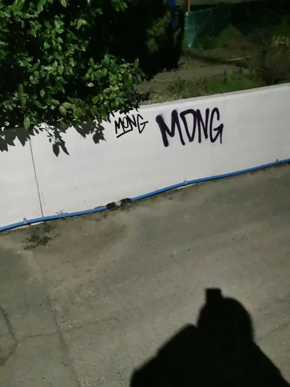 The photograph attached to this graffiti - public property report