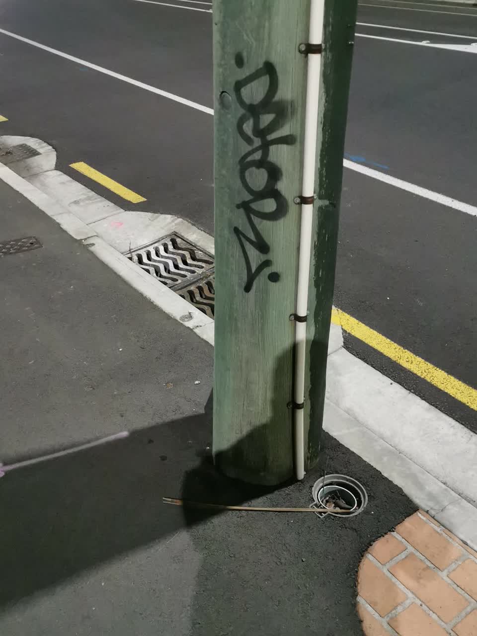The photograph attached to this graffiti - concrete street light pole report