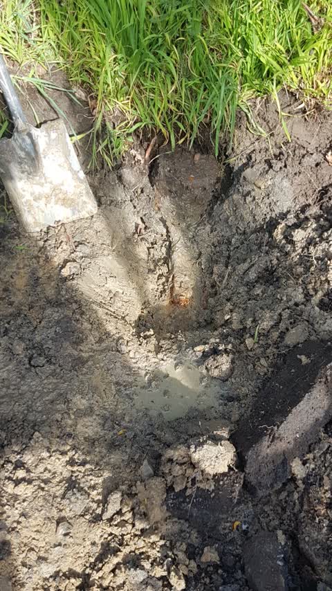 Water Leak, a report photo