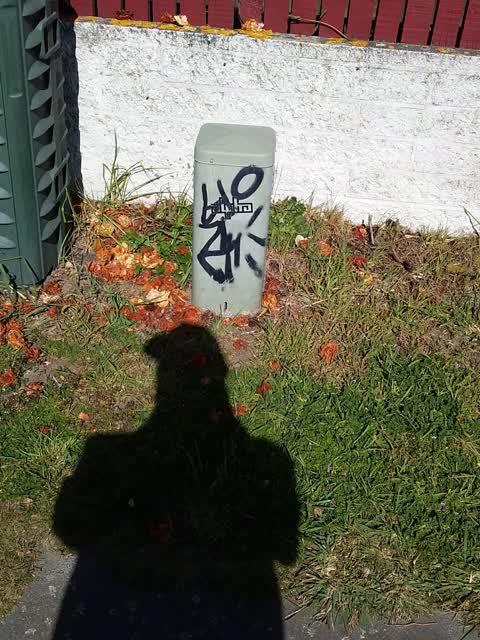 Graffiti, a report photo