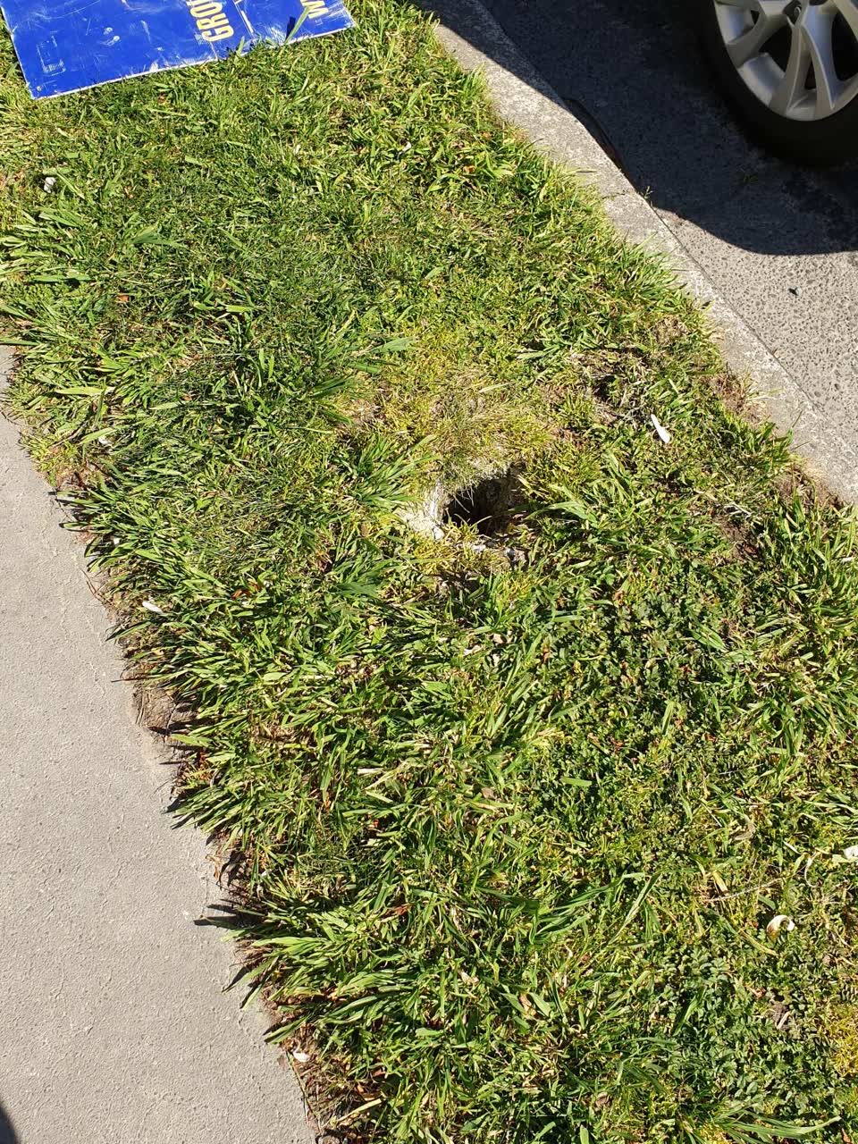 The photograph attached to this road signage report