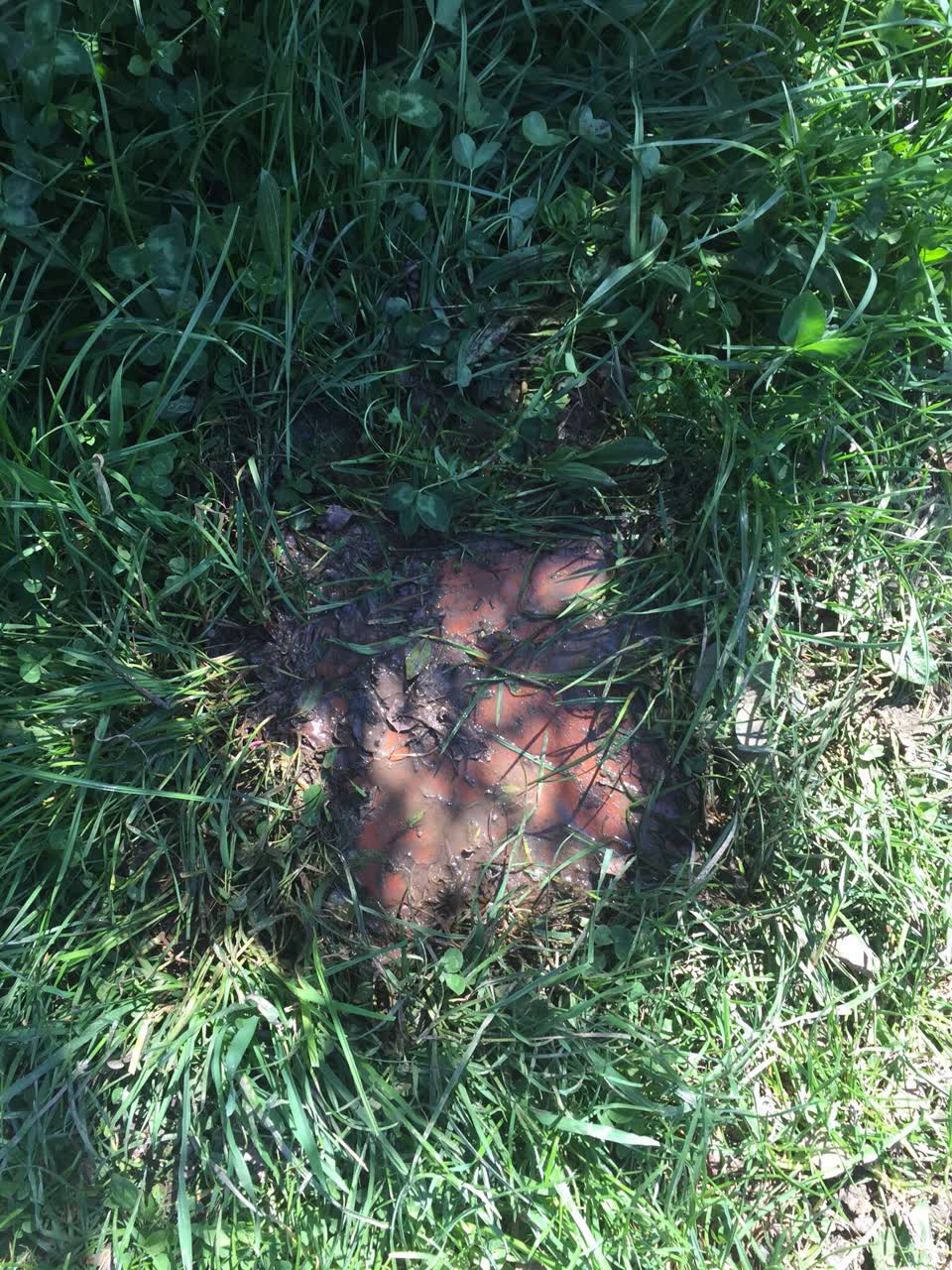 The photograph attached to this water leak report