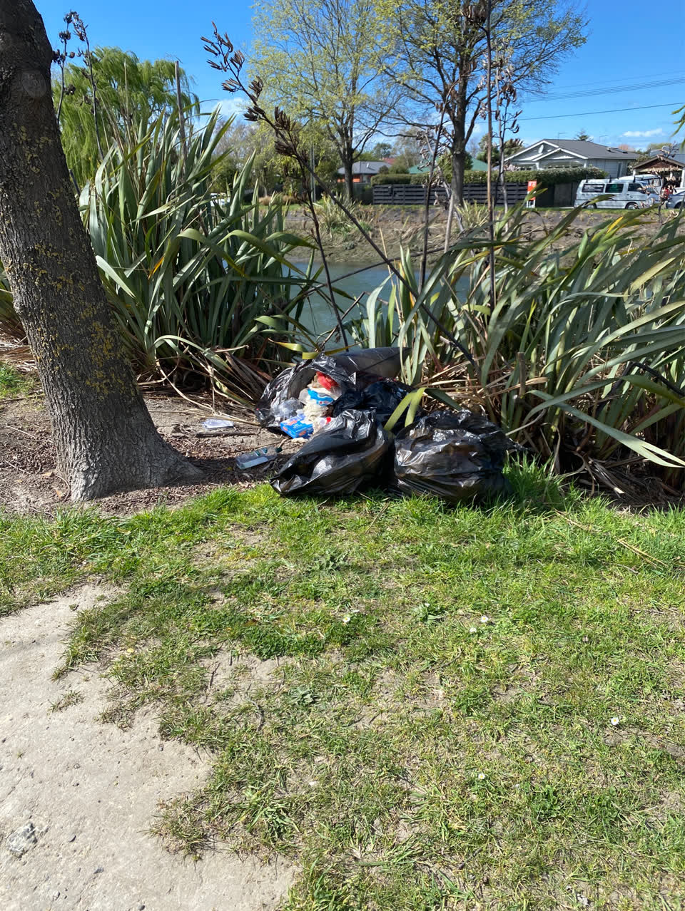 The photograph attached to this dumped rubbish report