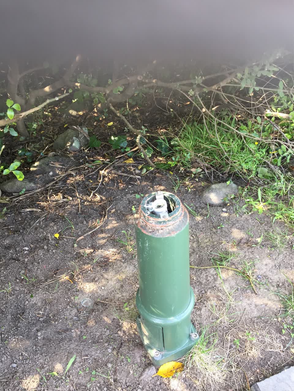 The photograph attached to this parks report