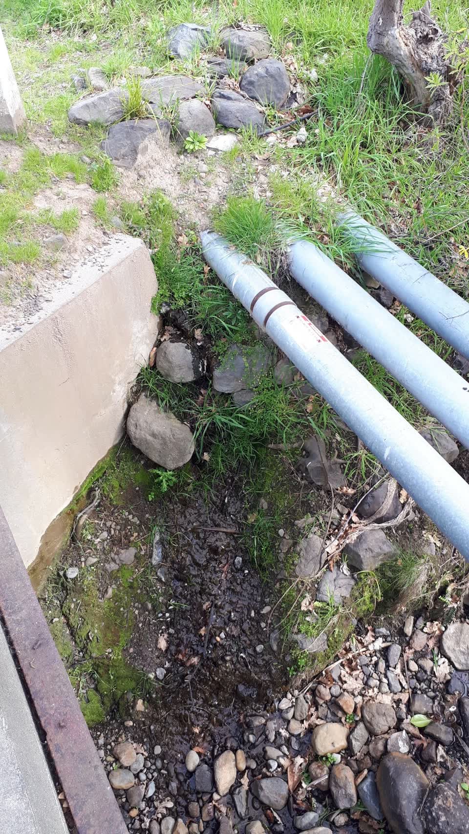 The photograph attached to this water leak report