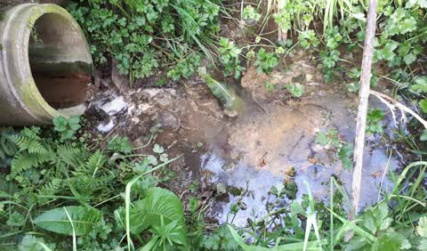 Sewer - Leak / Blockage, a report photo