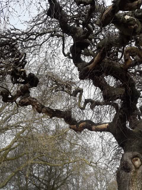Parks, a report photo